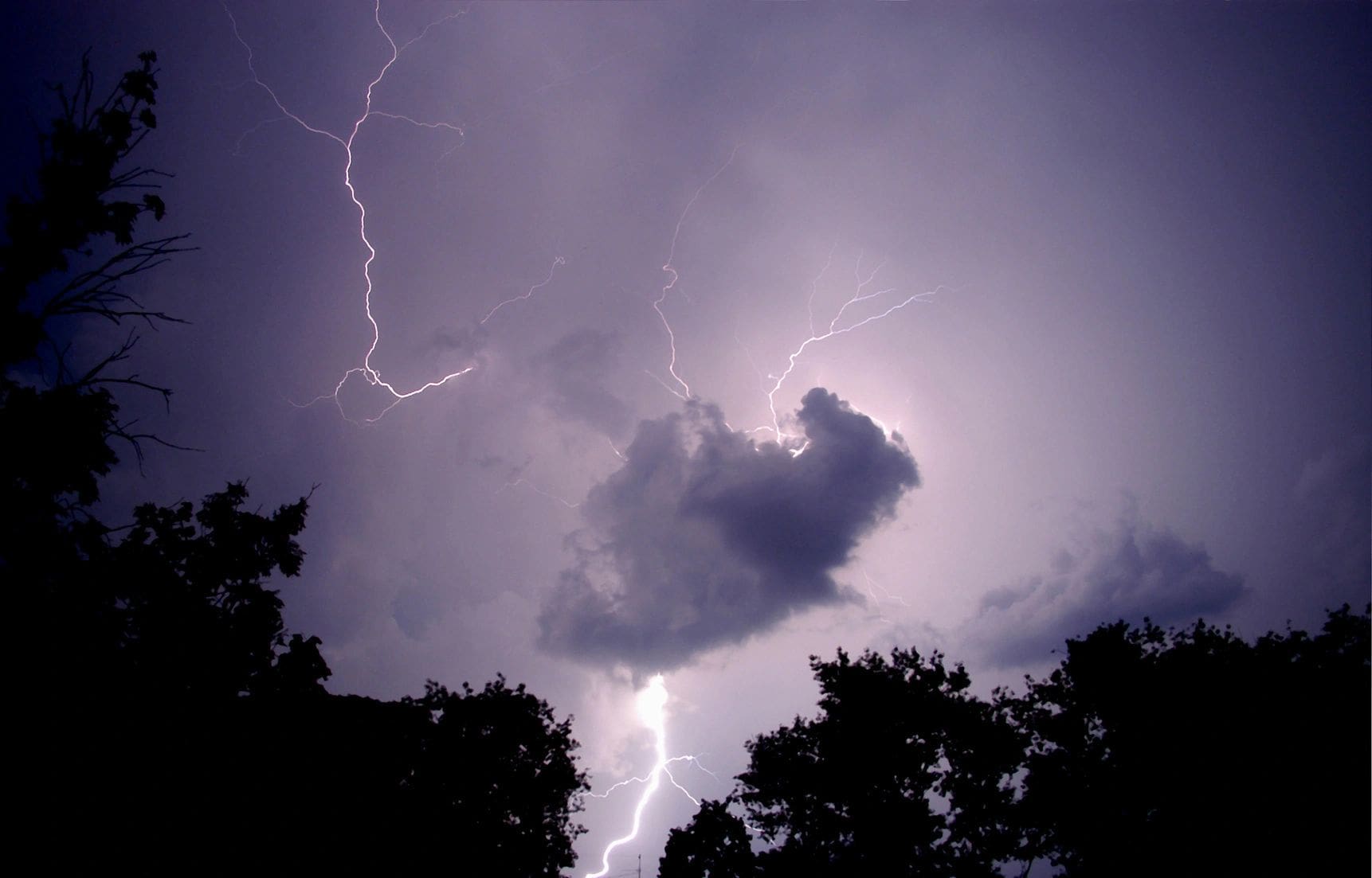 A cloud and lightning in the sky above trees.